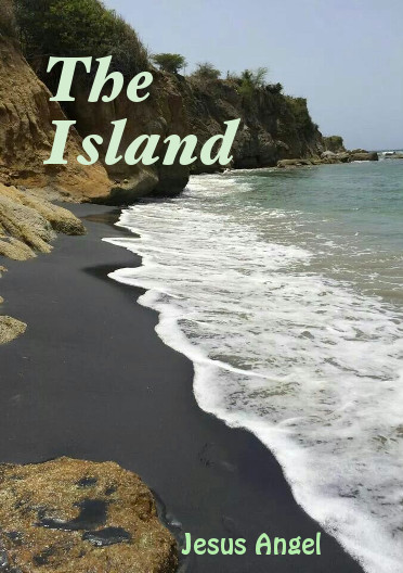 Adventures and misadvantures of 13 castaways in a lost island.